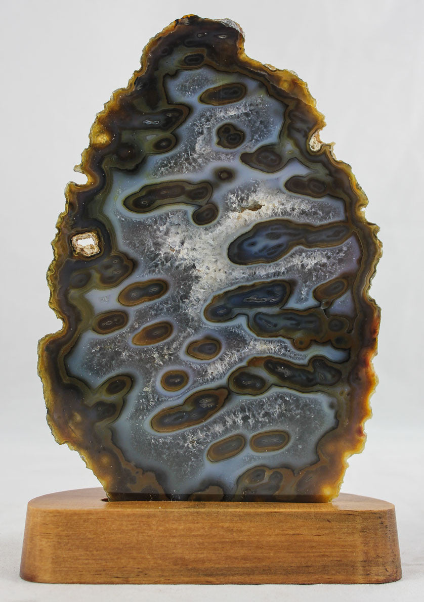 Brazilian Agate w/ Eyes