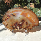 Fiery Detailed Agate Slice
