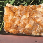 Brazilian Citrine Cluster