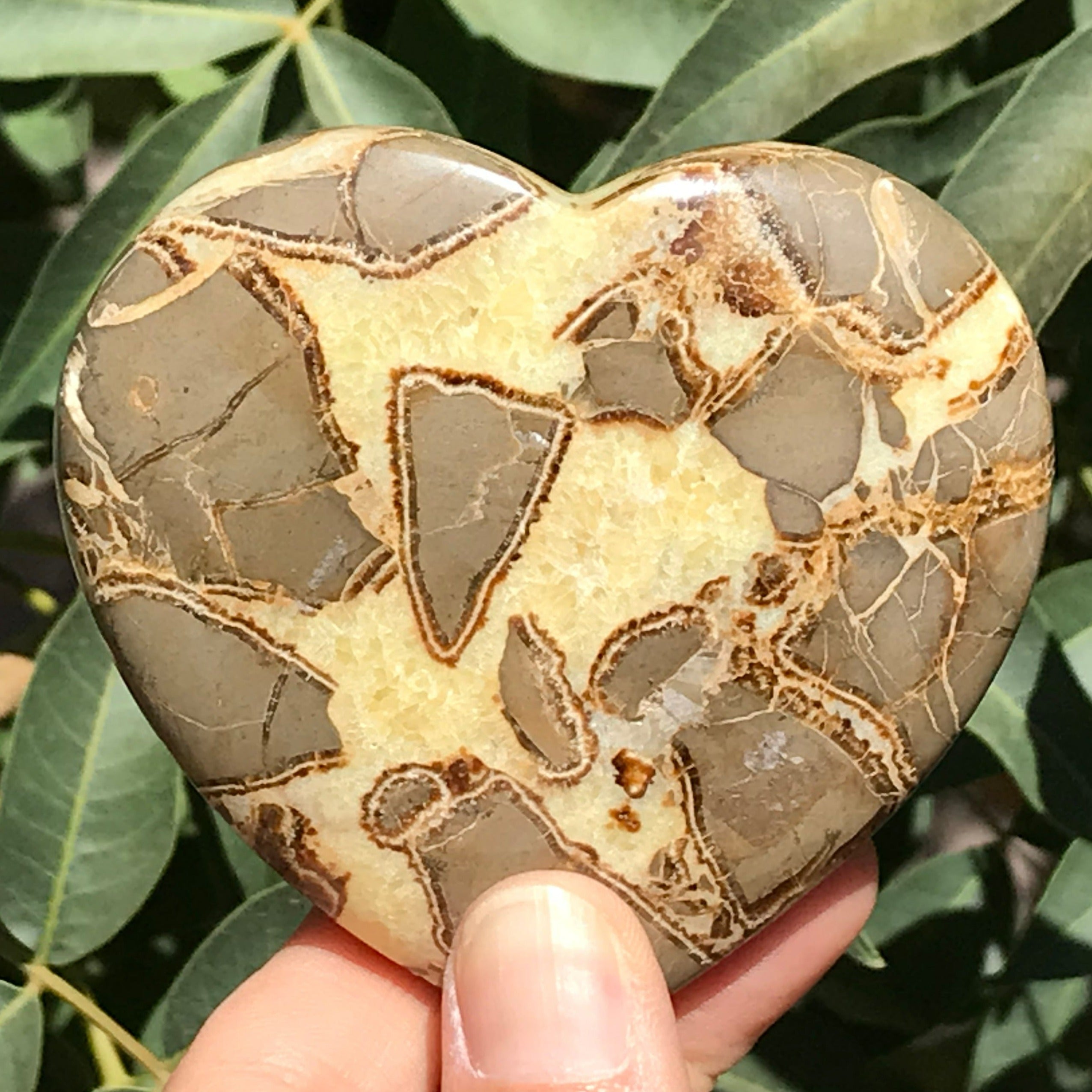 Hand Polished Septarian Heart