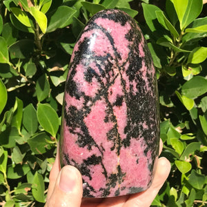 Polished Rhodonite Nodule