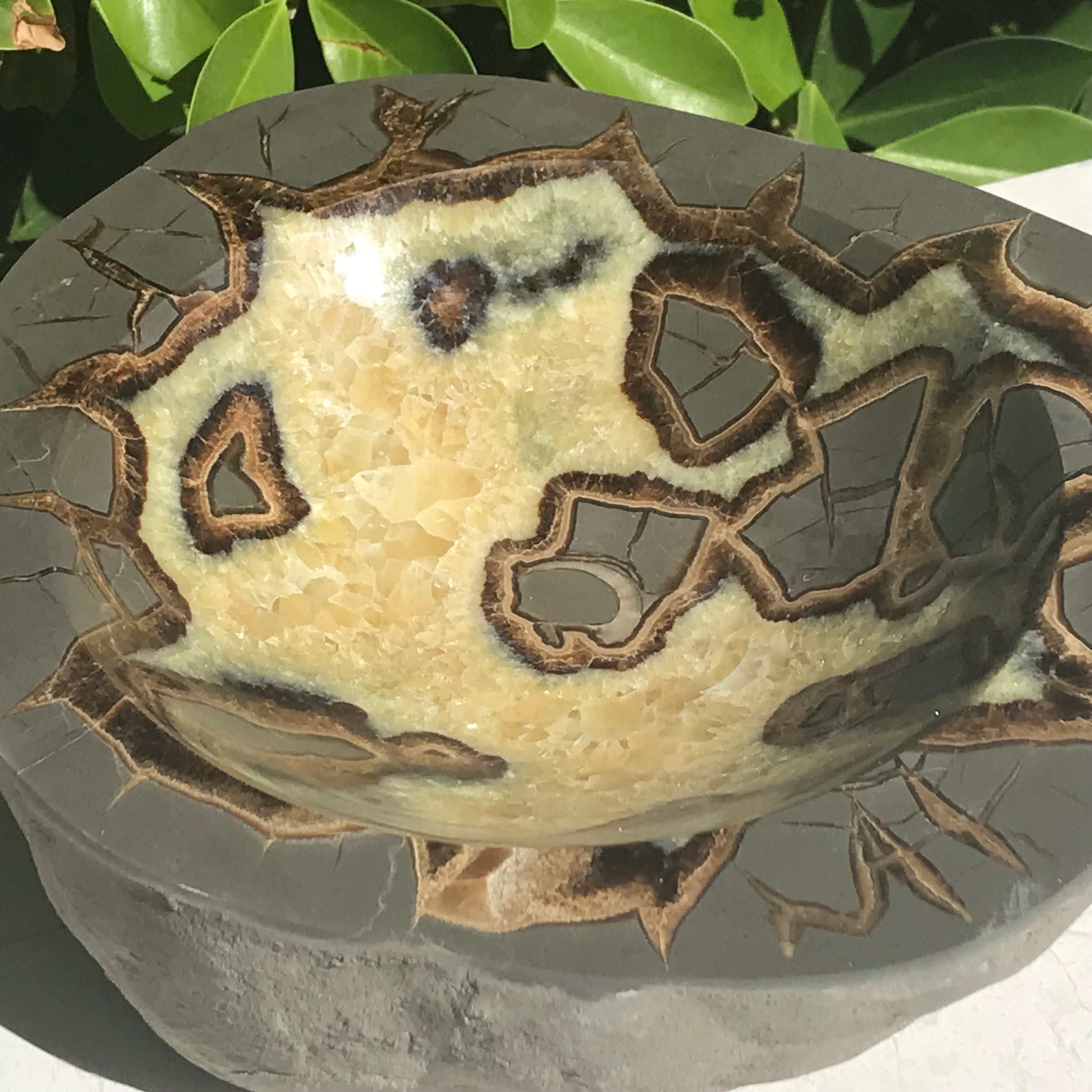 Ornately Patterned Septarian Bowl