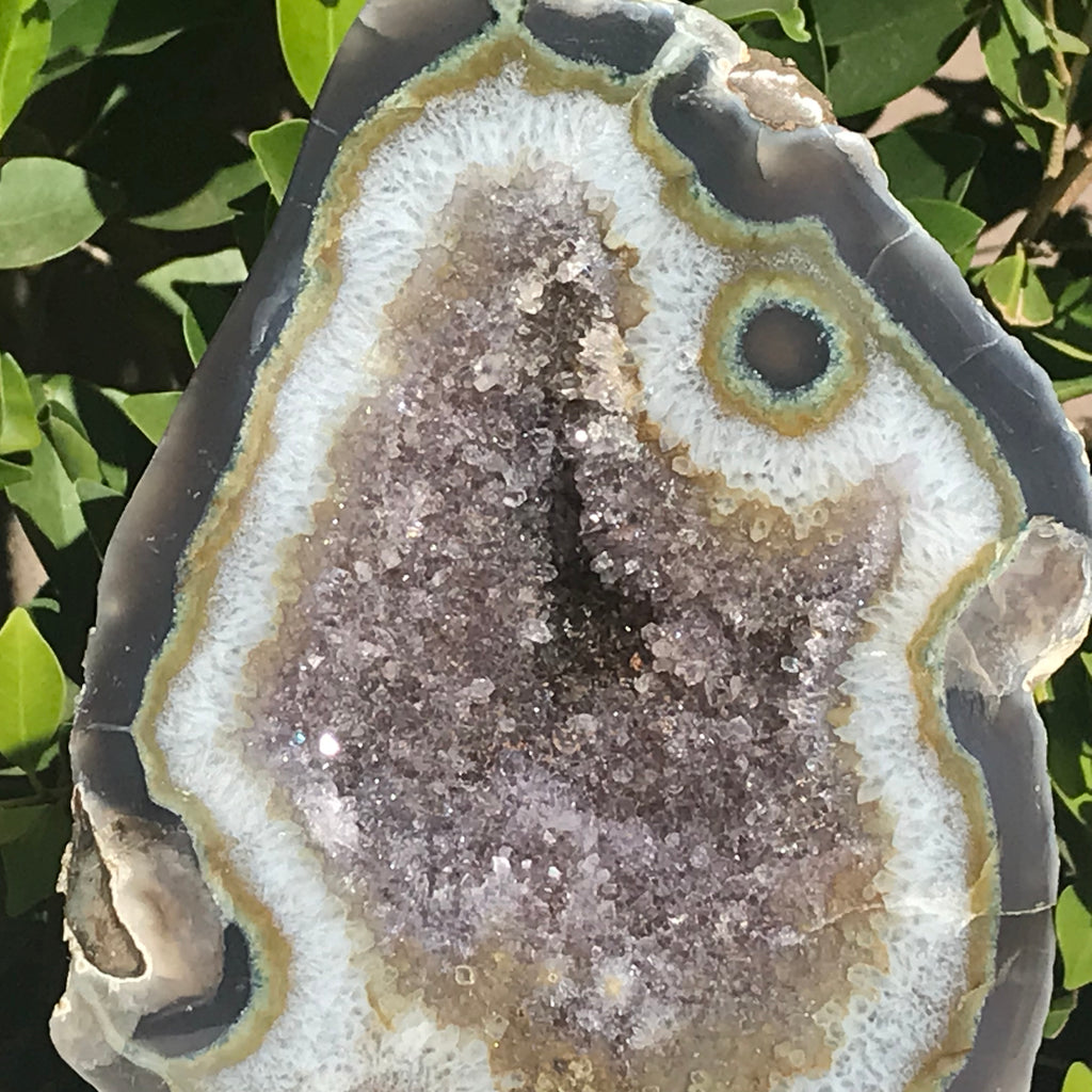 Olive Green Banded Amethyst Geode