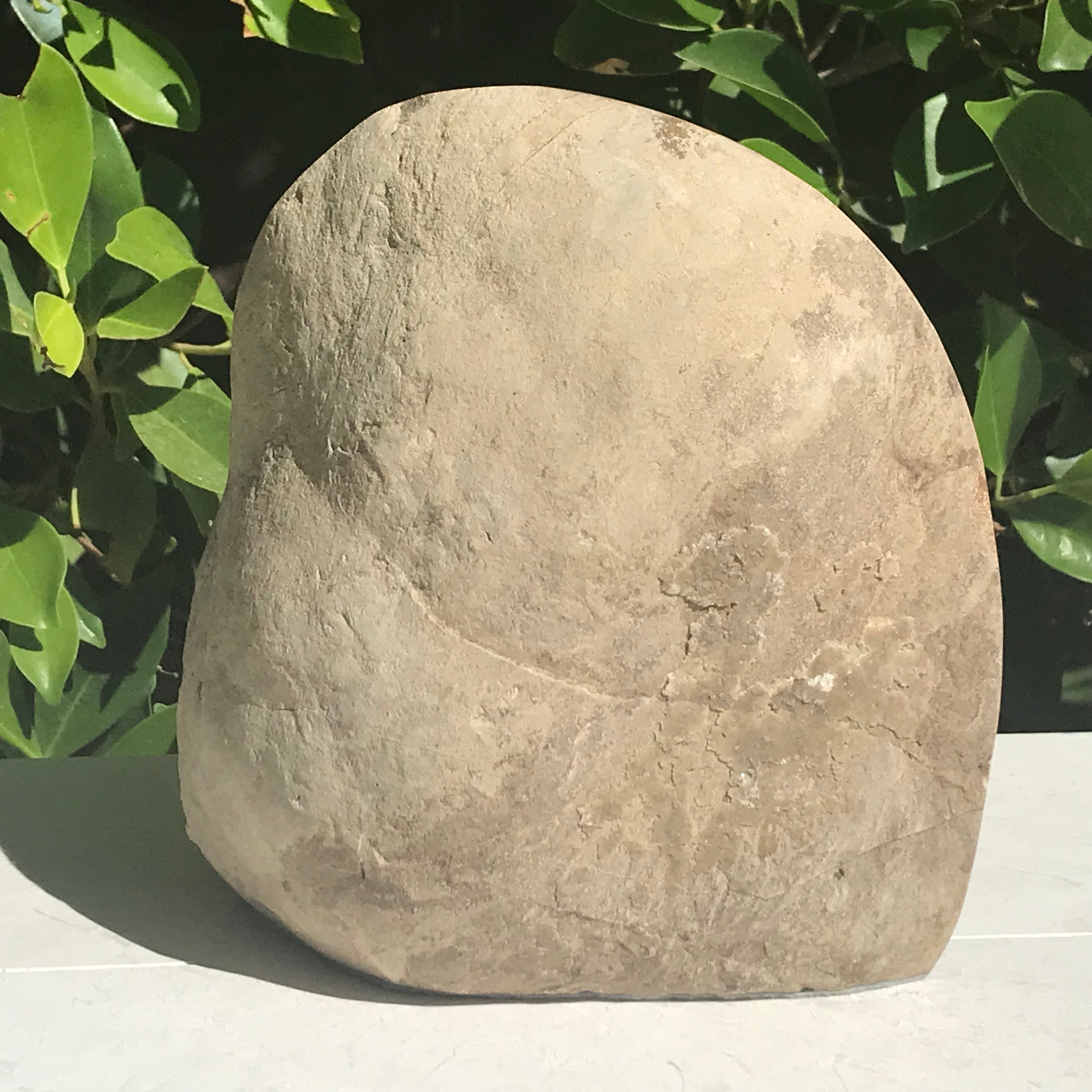 Crystal Filled Septarian Geode