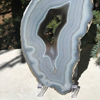 Multitude of Delicate Lines Agate Slice