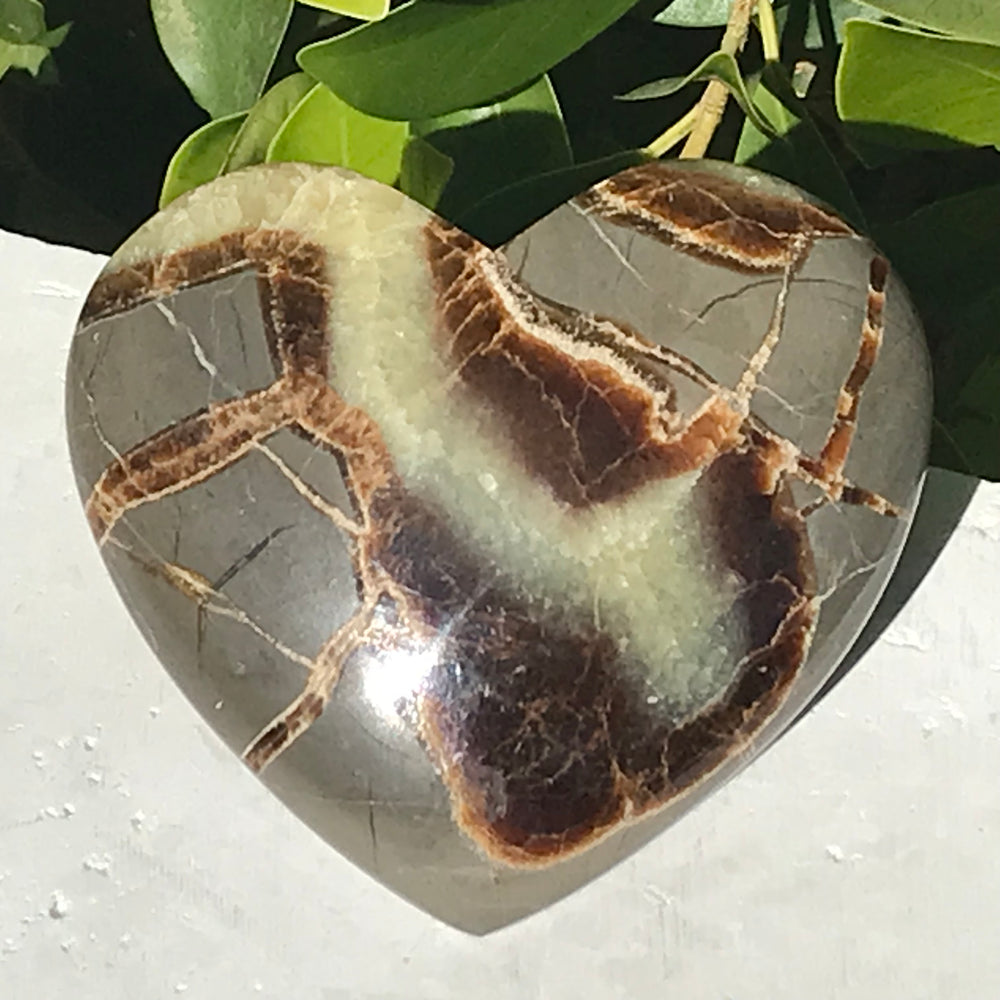 Hand Polished Septarian Heart