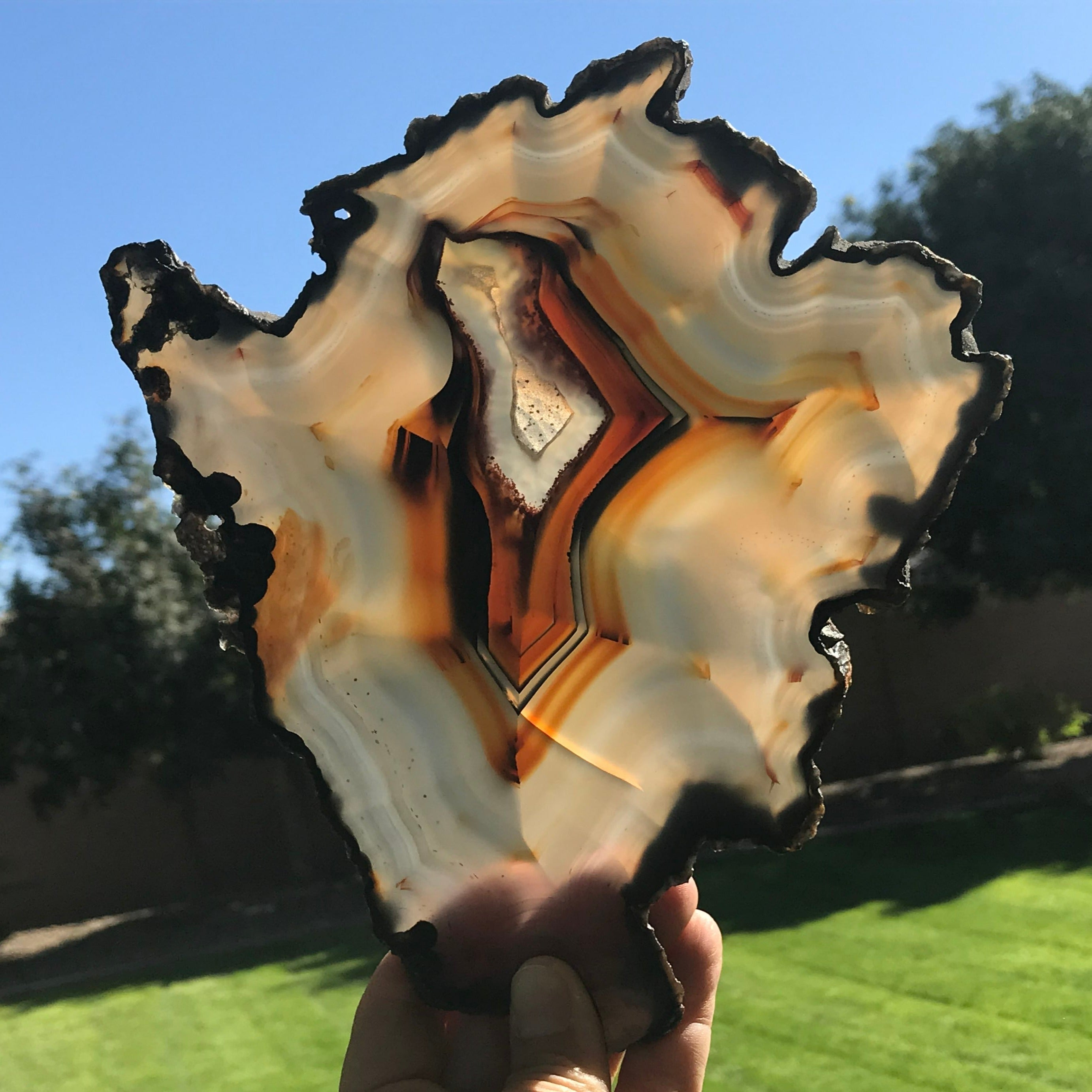 Myriad of Banding Agate Slice