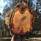 Abstract Agate Slice