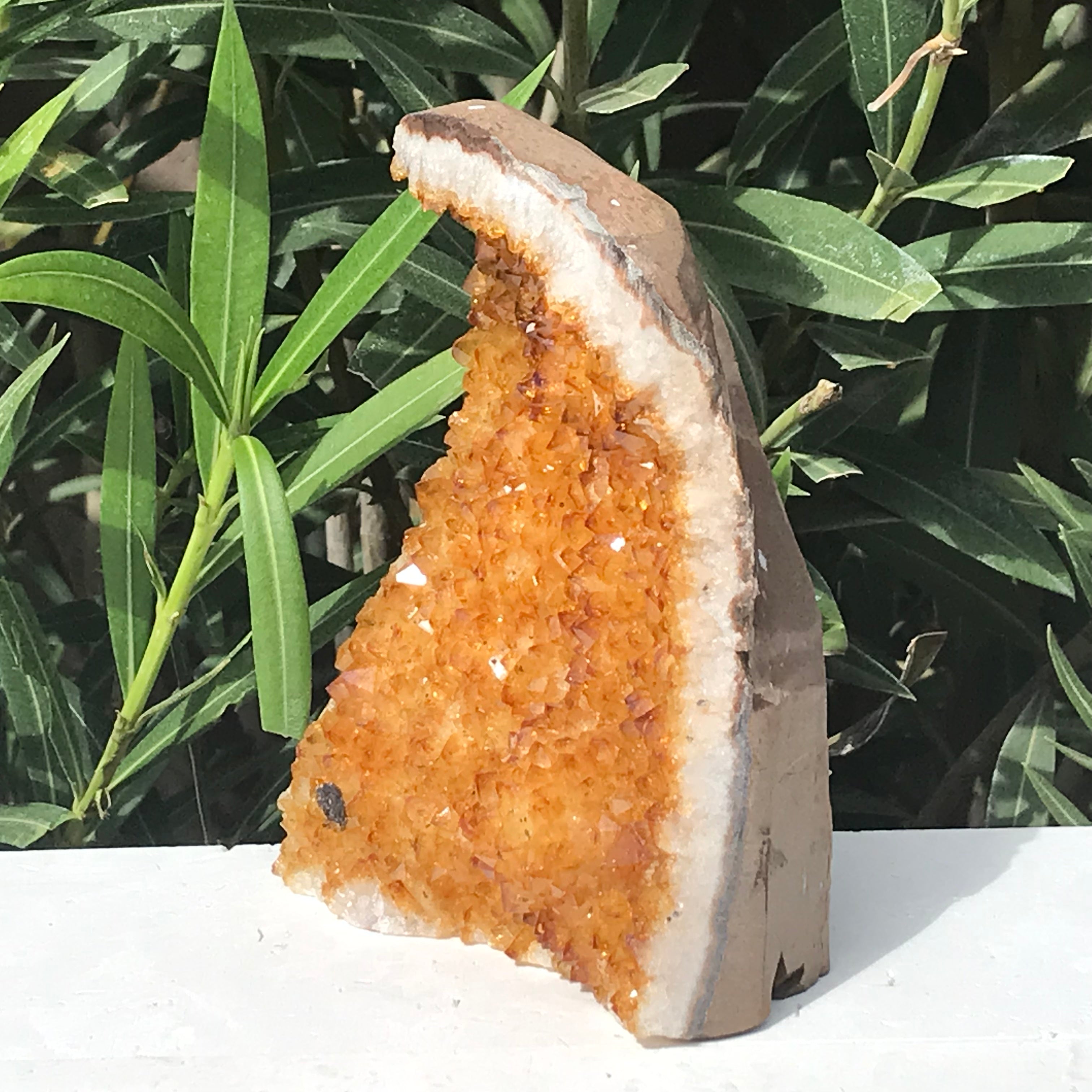 Glowing Citrine Crystal Cluster