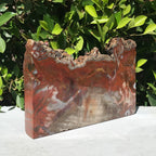 Arizona Rainbow Petrified Wood Slab