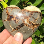 Hand Polished Septarian Heart