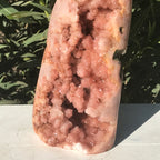 Tower of Rose Freeform