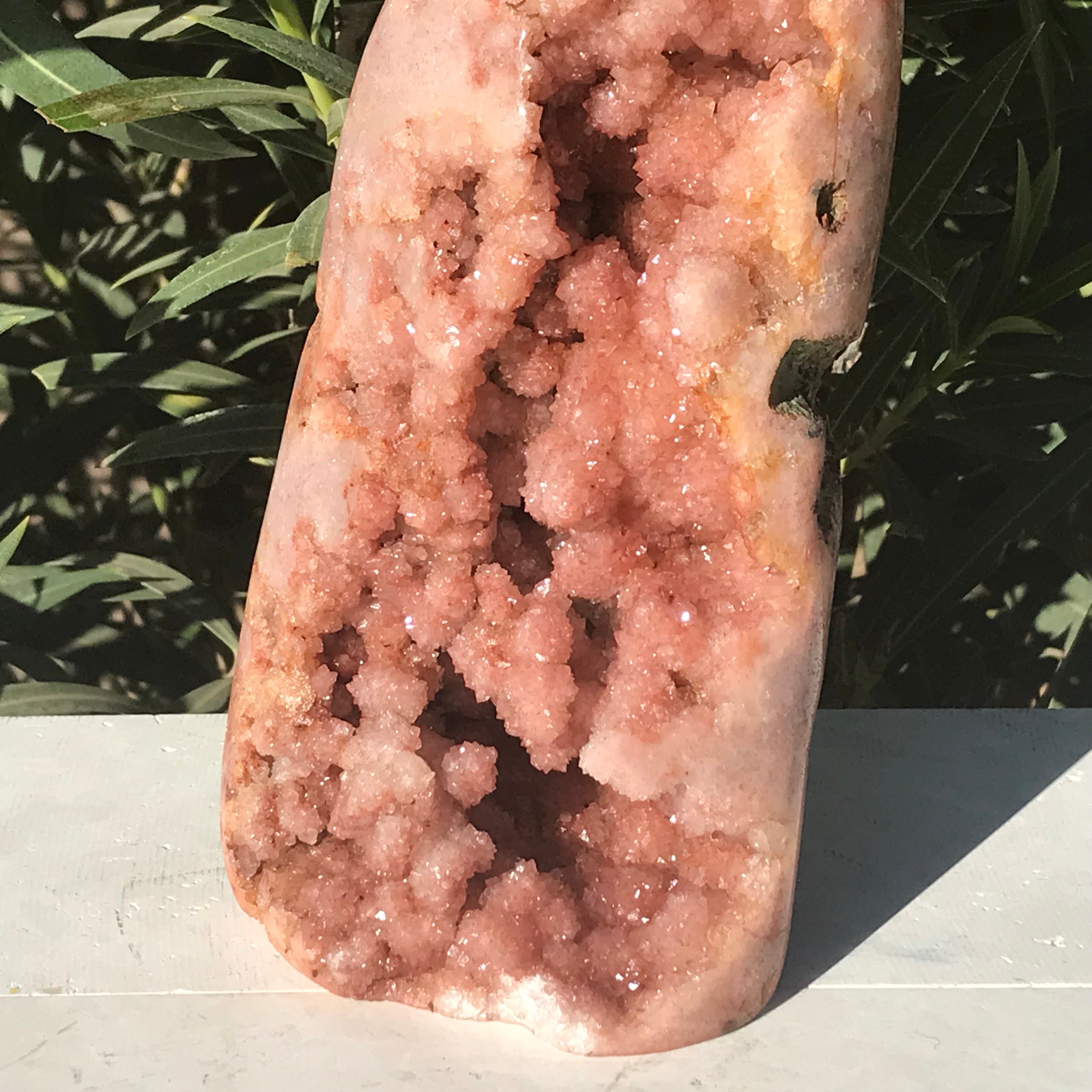 Tower of Rose Freeform