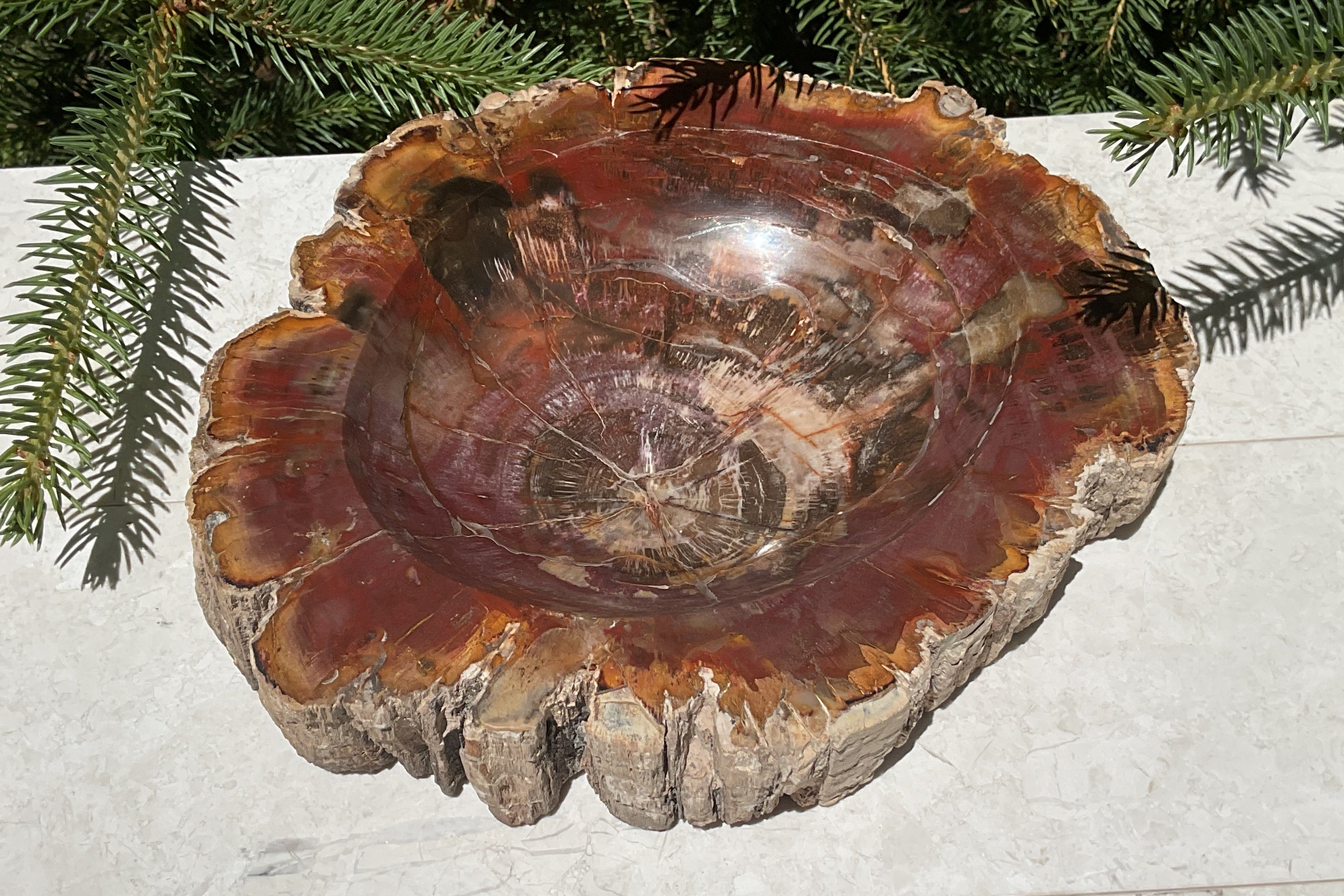 Bark Edged Petrified Wood Bowl