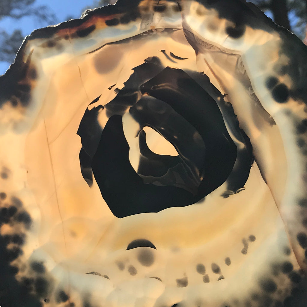 Prominent Floral-Like Eye Agate Slice.
