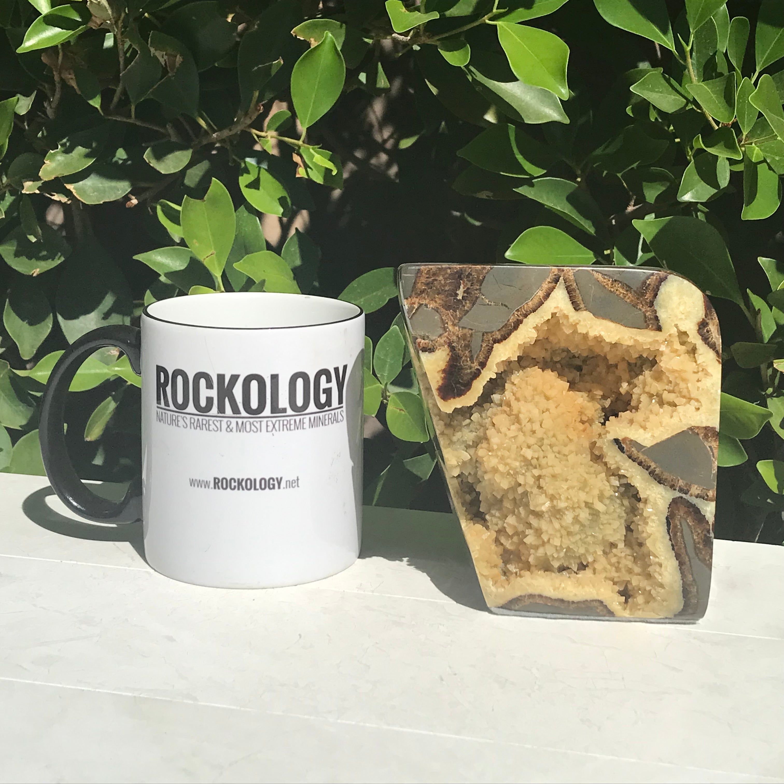 Polished Septarian Geode