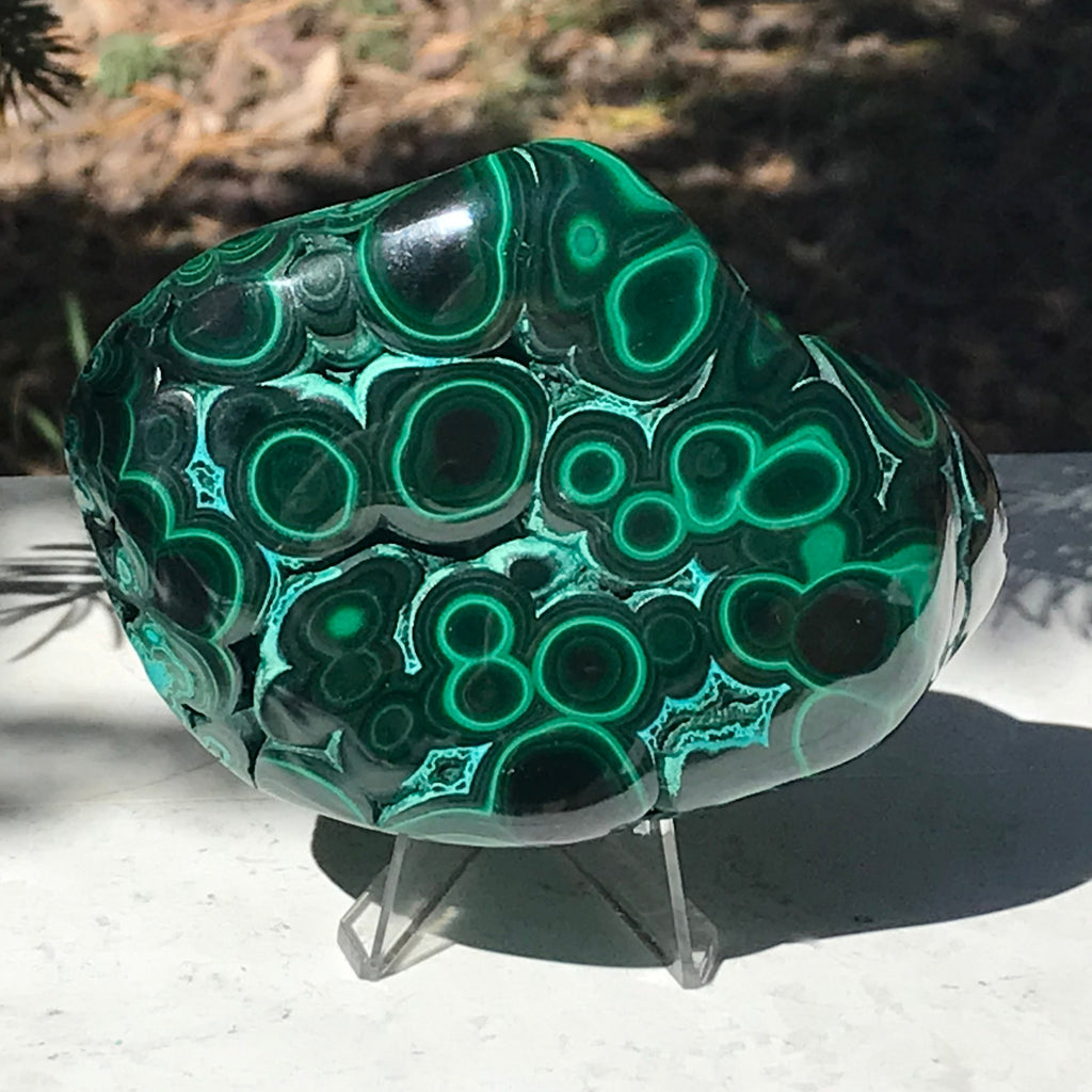 Prominant Orbbed Malachite with Chrysocolla