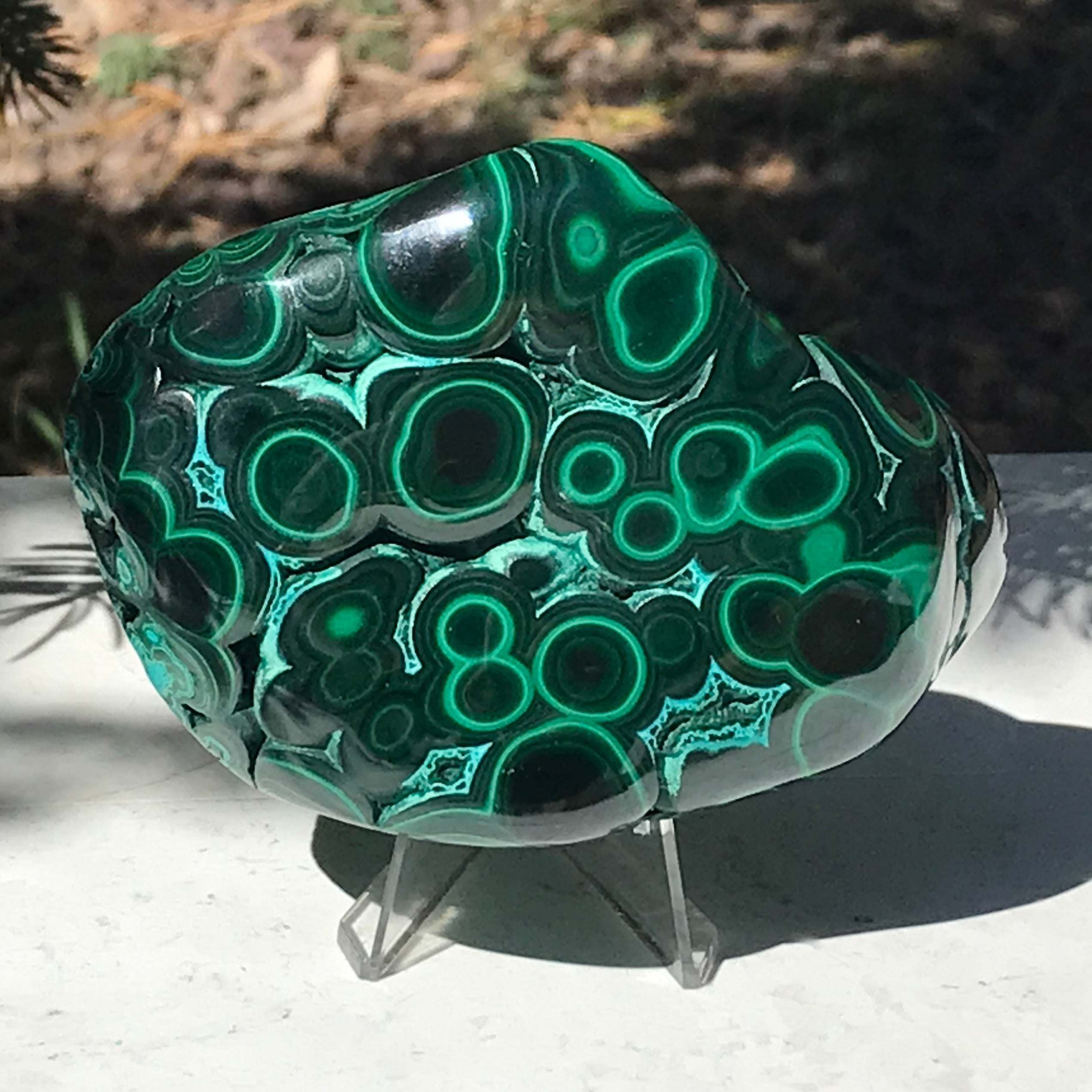 Prominant Orbbed Malachite with Chrysocolla