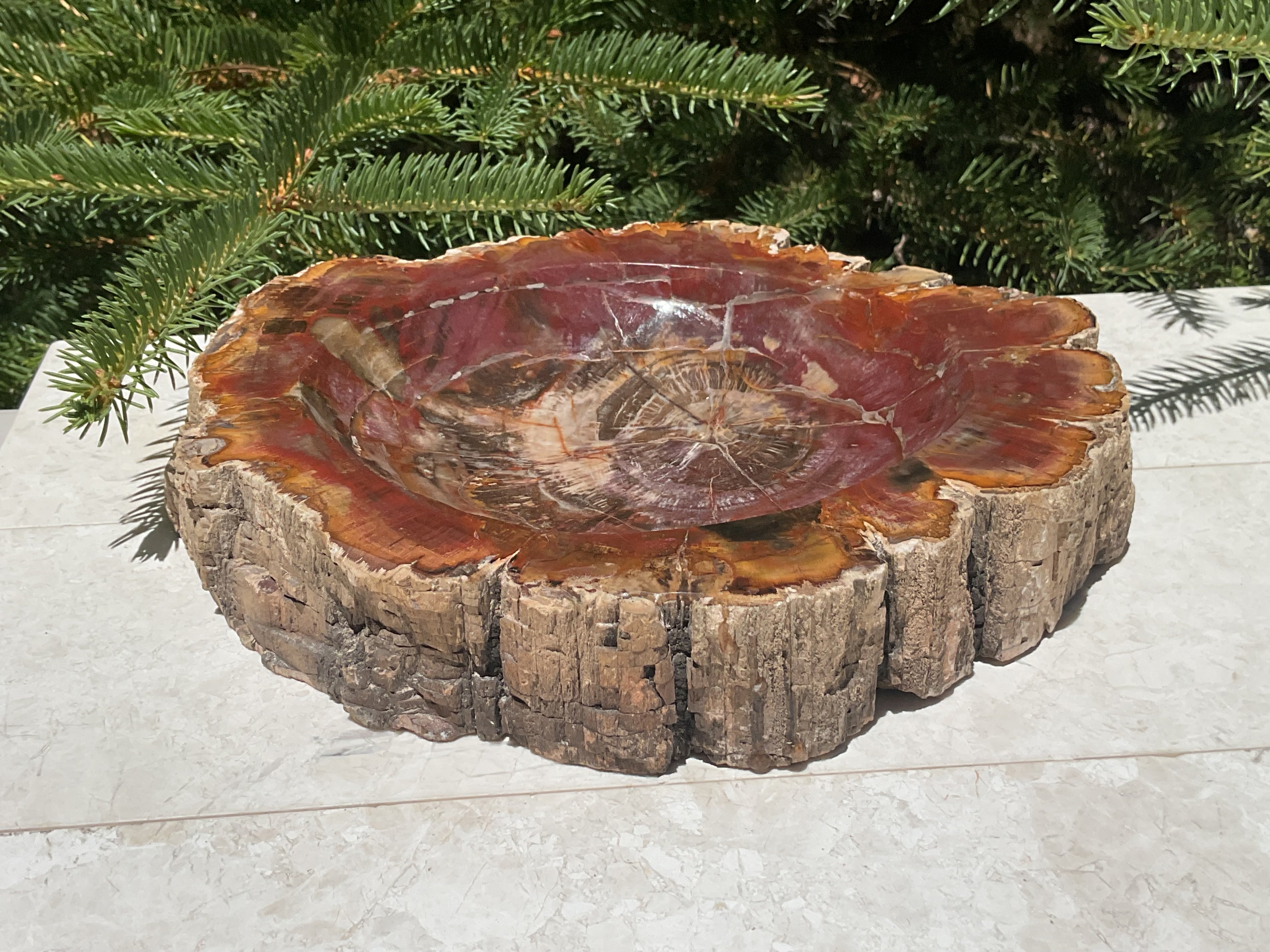 Bark Edged Petrified Wood Bowl