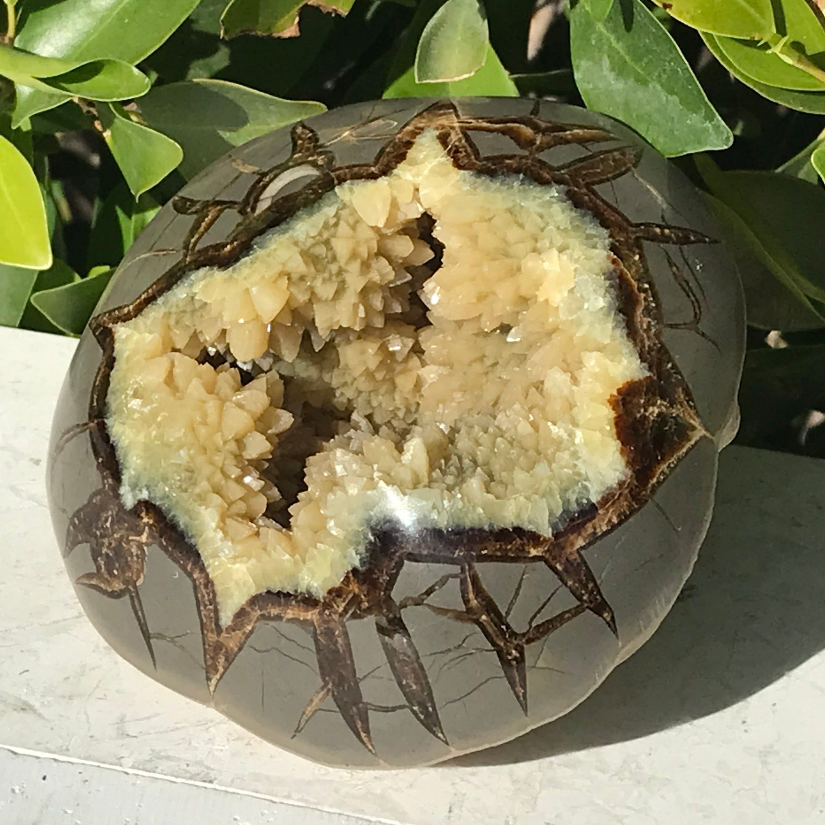 Crystal Filled Septarian Geode