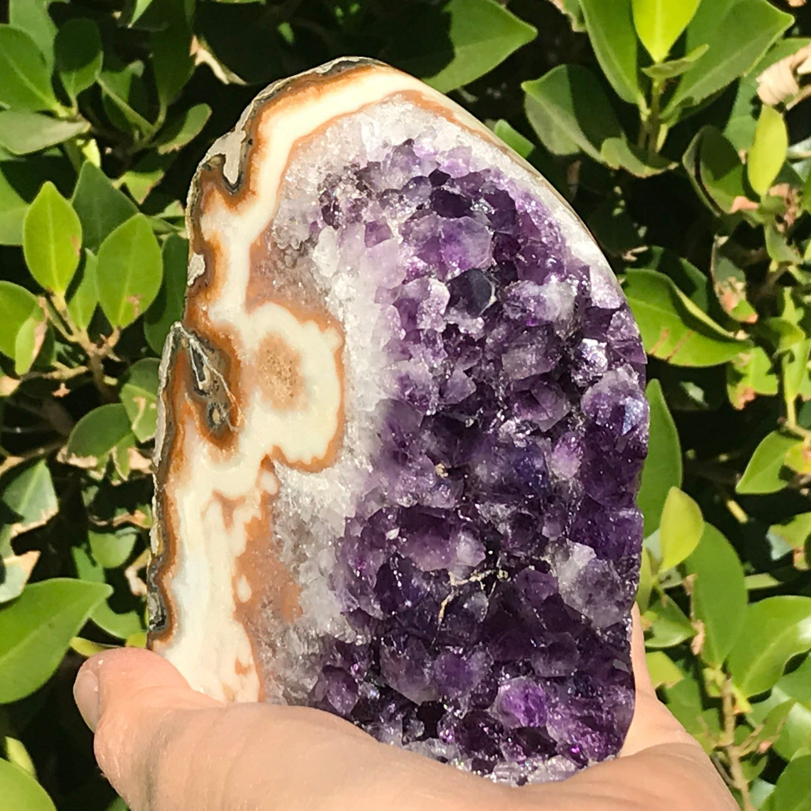 Extravagantly Banded Amethyst Freeform