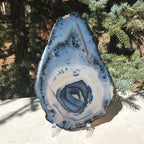 Prominent Floral-Like Eye Agate Slice.