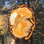 Gleaming Translucency Agate Slice