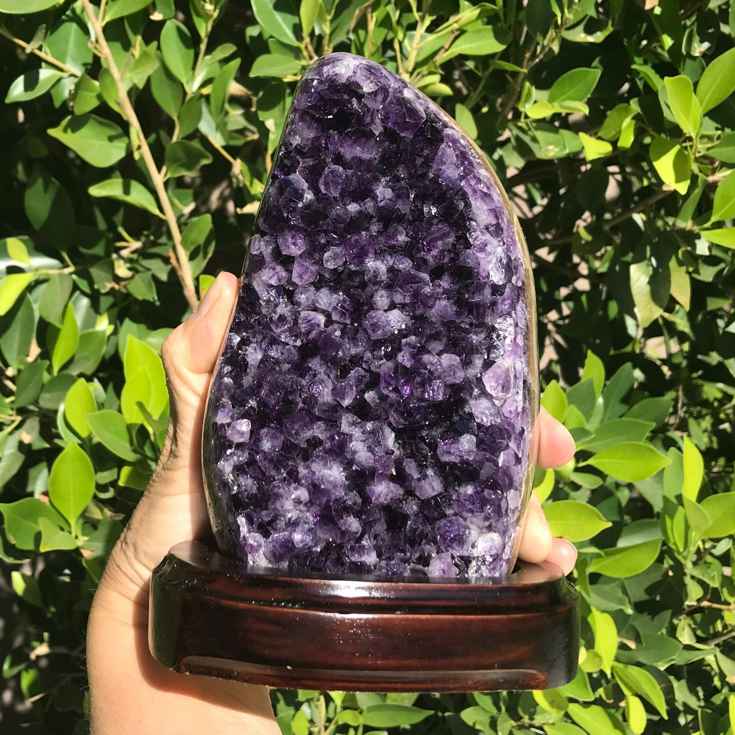 Classic Amethyst Freeform