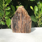 Elko Striated Petrified Wood