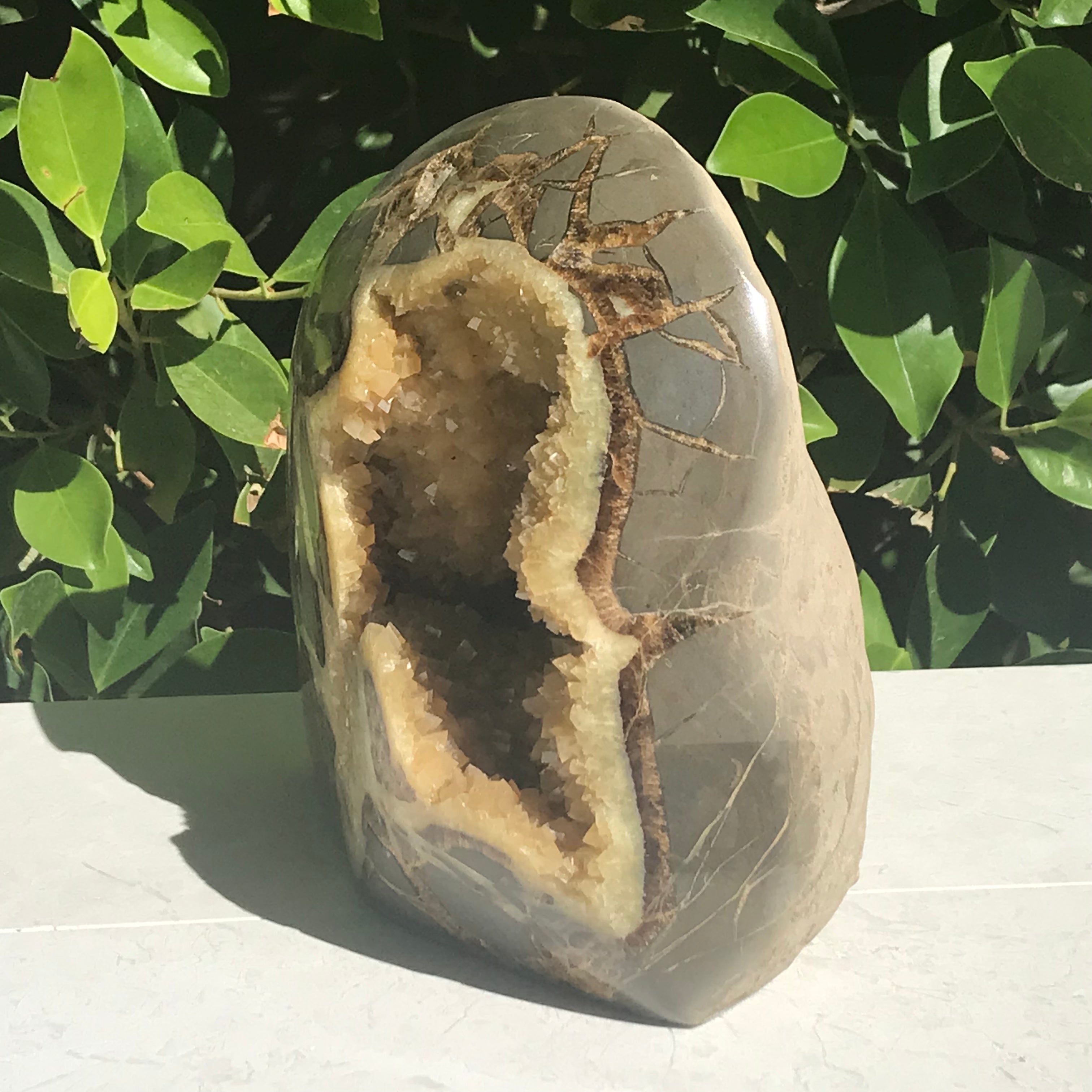 Crystal Filled Septarian Geode
