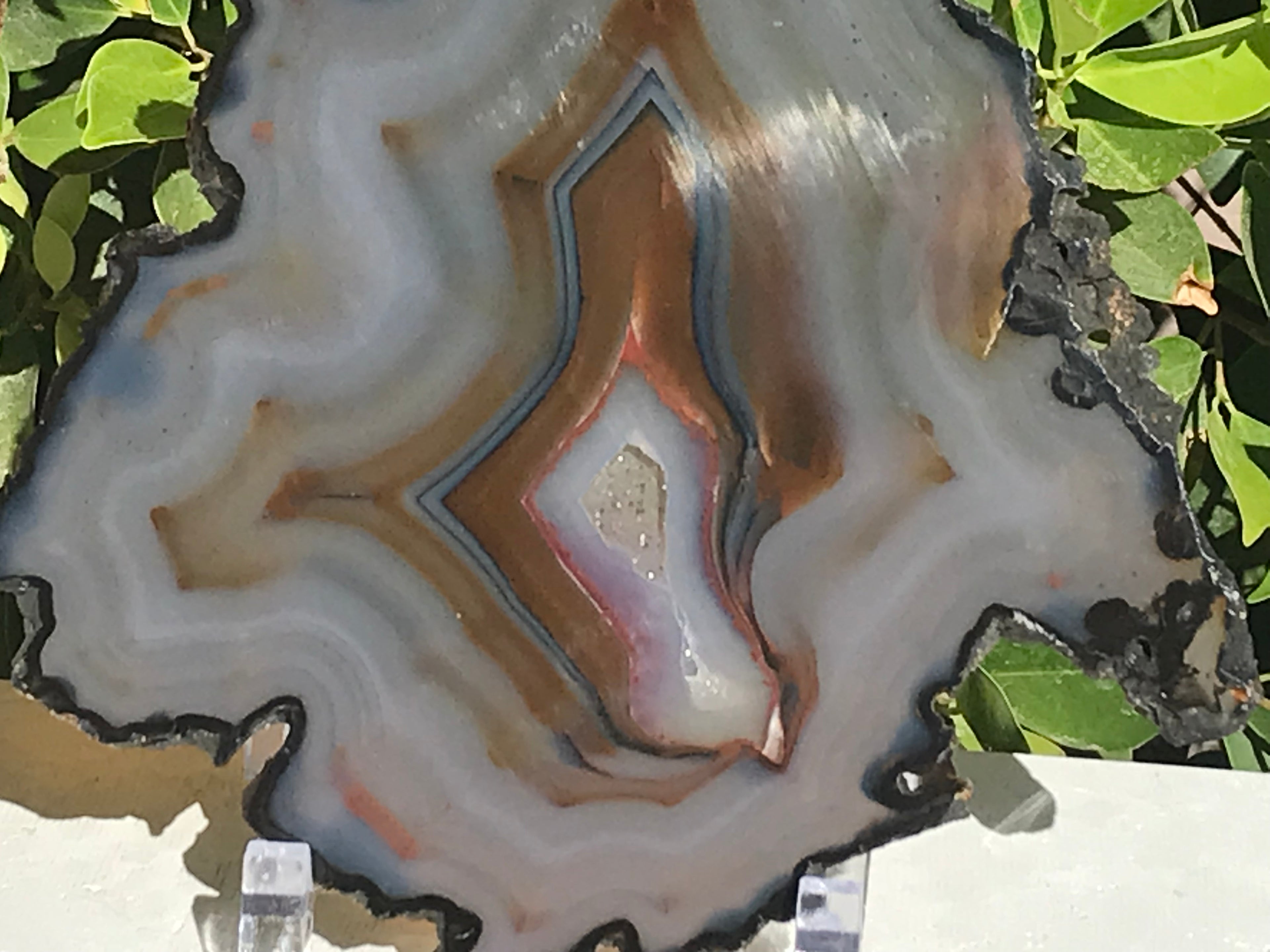 Myriad of Banding Agate Slice