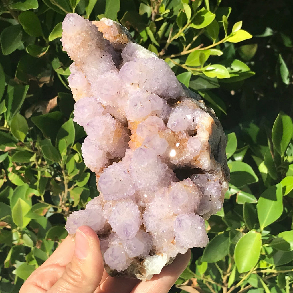 Quartz Crystal Topped Cactus Quartz Slab