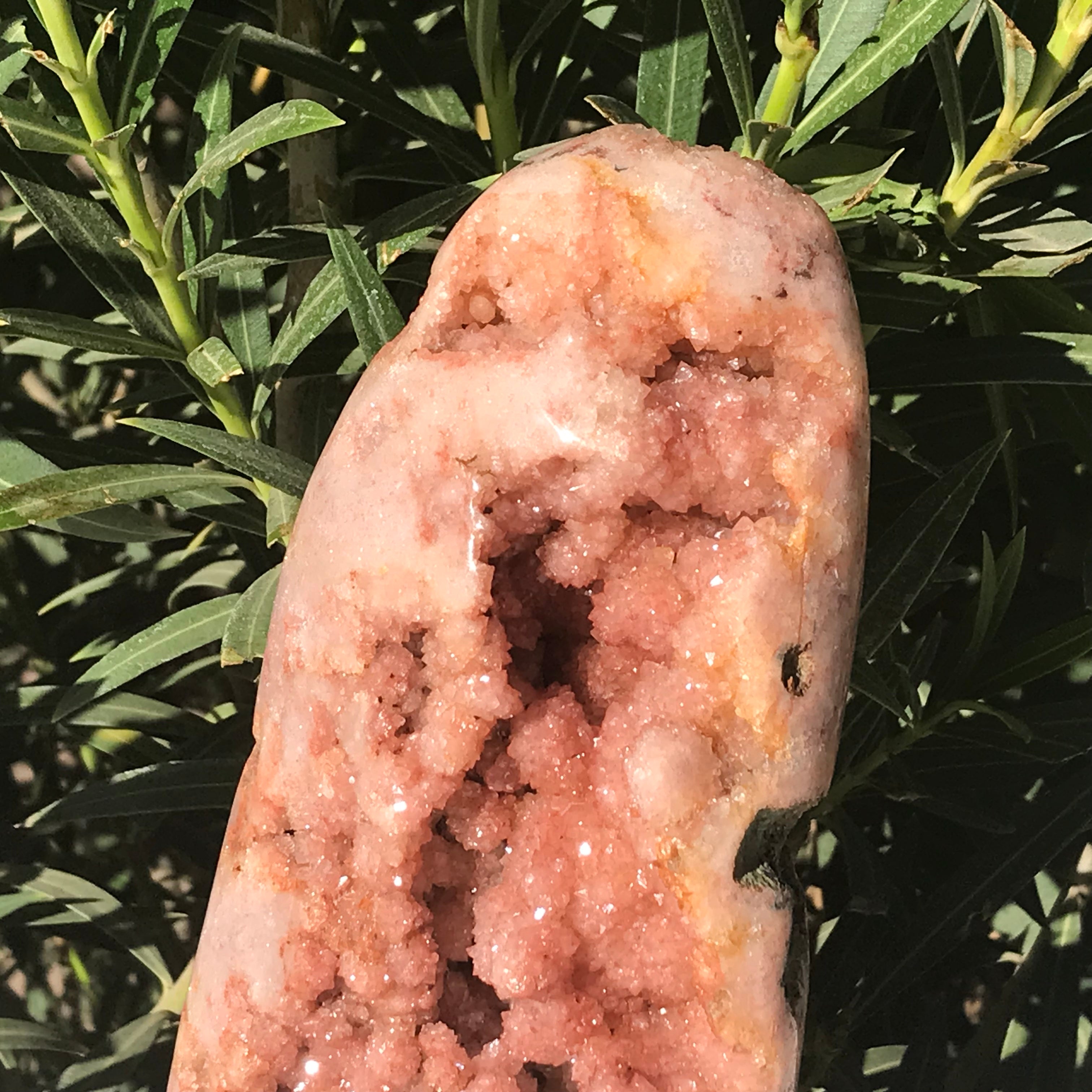 Tower of Rose Freeform