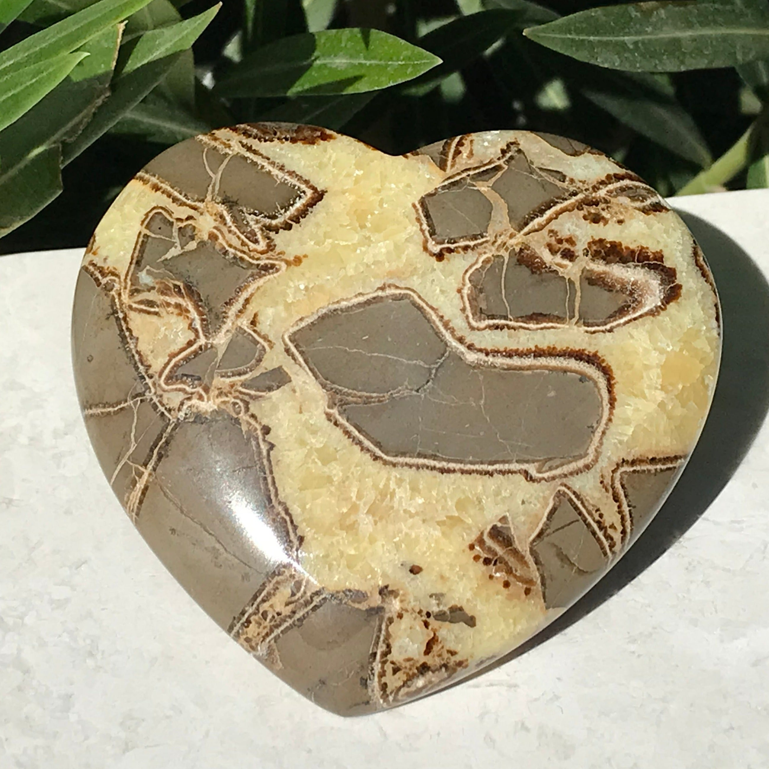 Hand Polished Septarian Heart