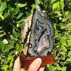 Colorful and Highly Detailed Agate Geode