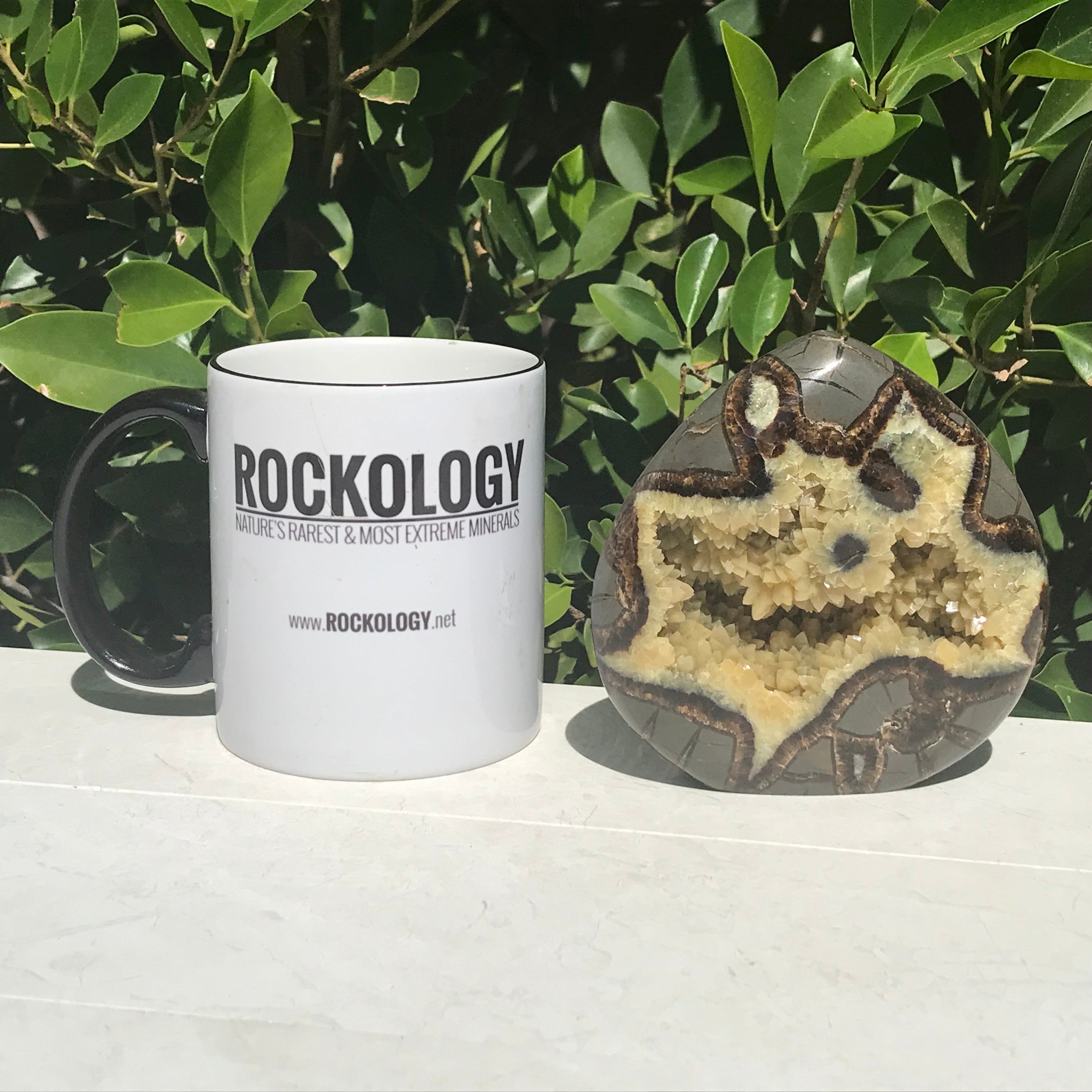 Flame Shaped Polished Septarian