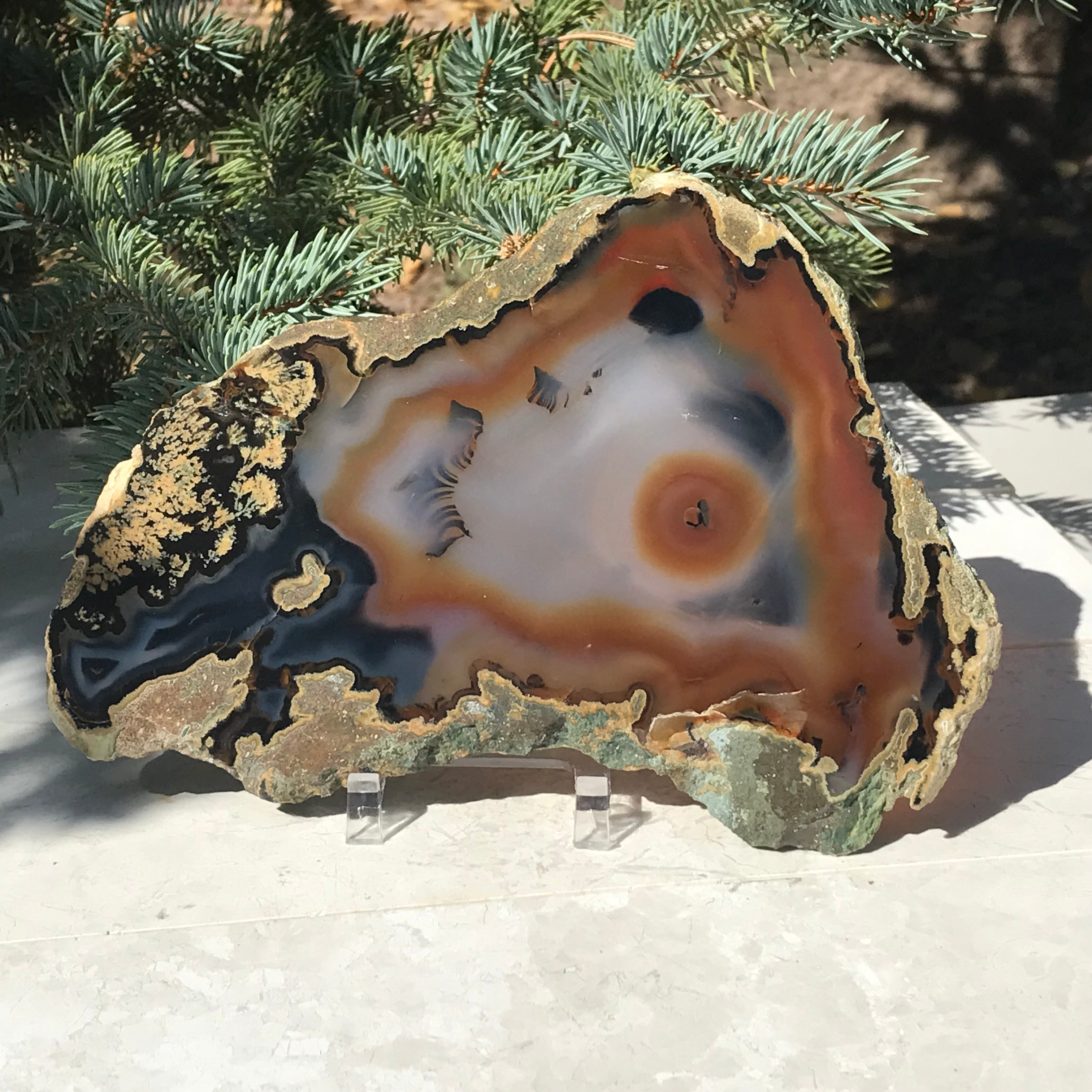 Orange Eyed Brazilian Agate Slice