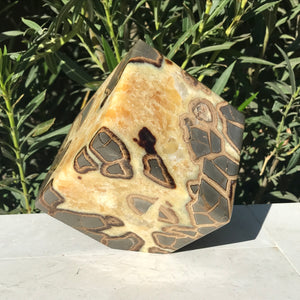 Standing Septarian Cube