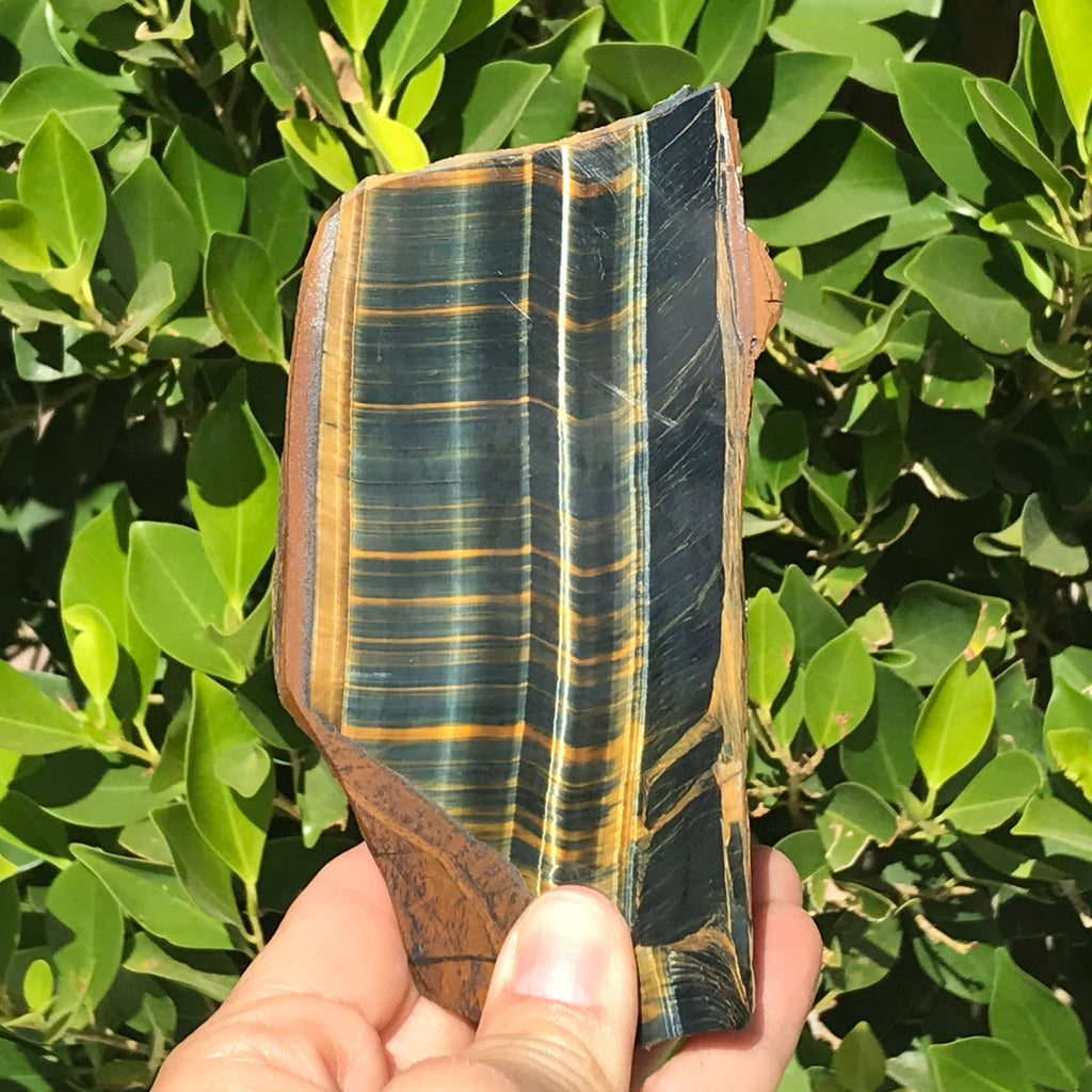 Tiger Eye Jasper