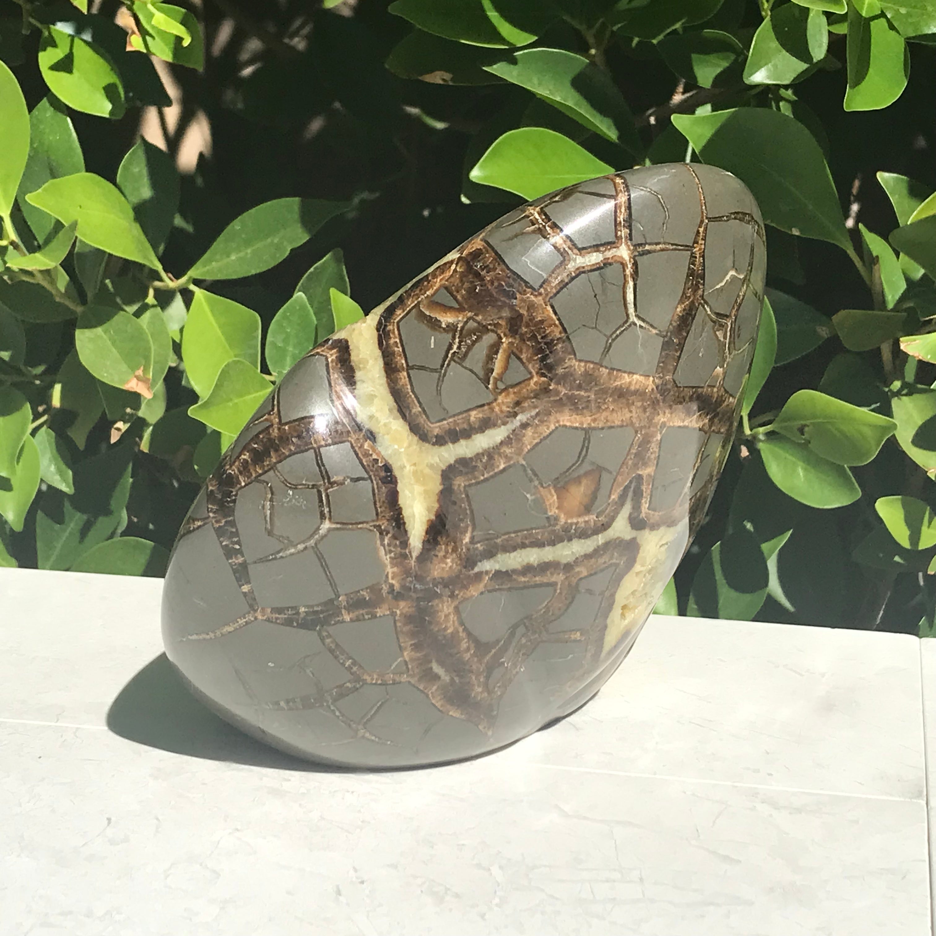Polished Septarian Sculpture