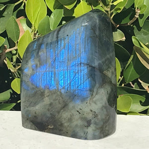 Bright Blue Labradorite Freeform
