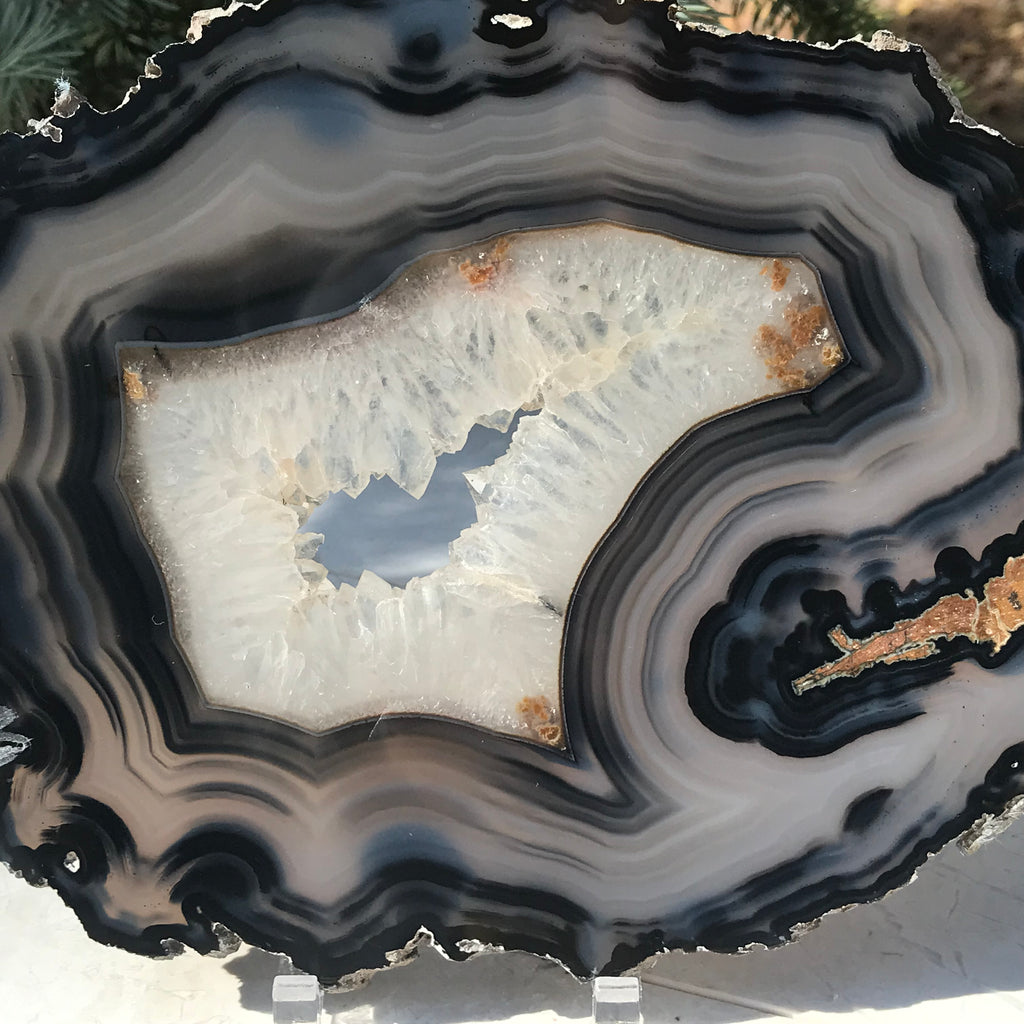 Bold Banded Agate Slice