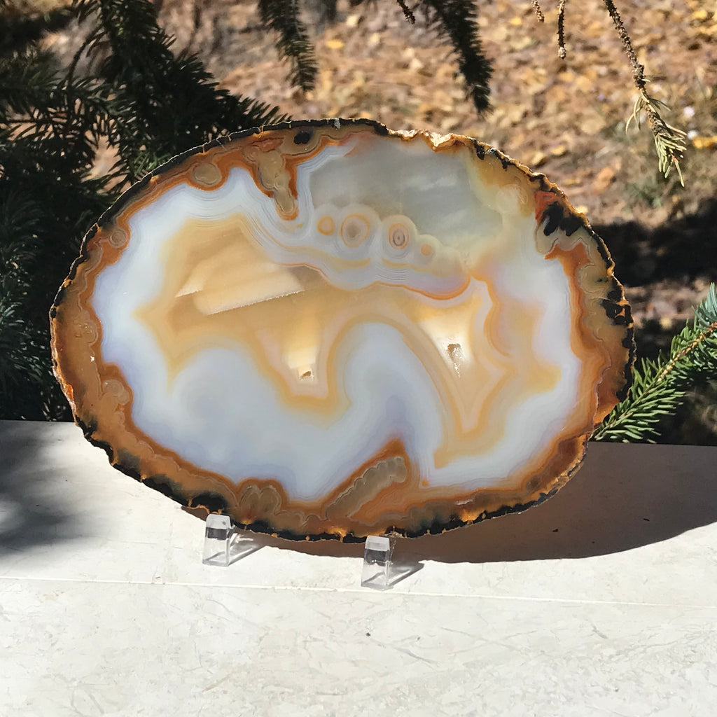 Gleaming Translucency Agate Slice