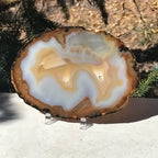 Gleaming Translucency Agate Slice