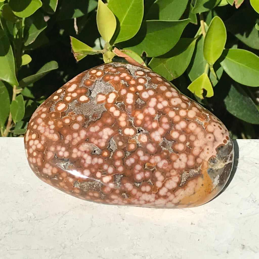 Ocean Jasper Nodule