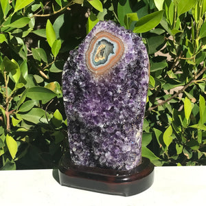 Single Eyed Amethyst Freeform