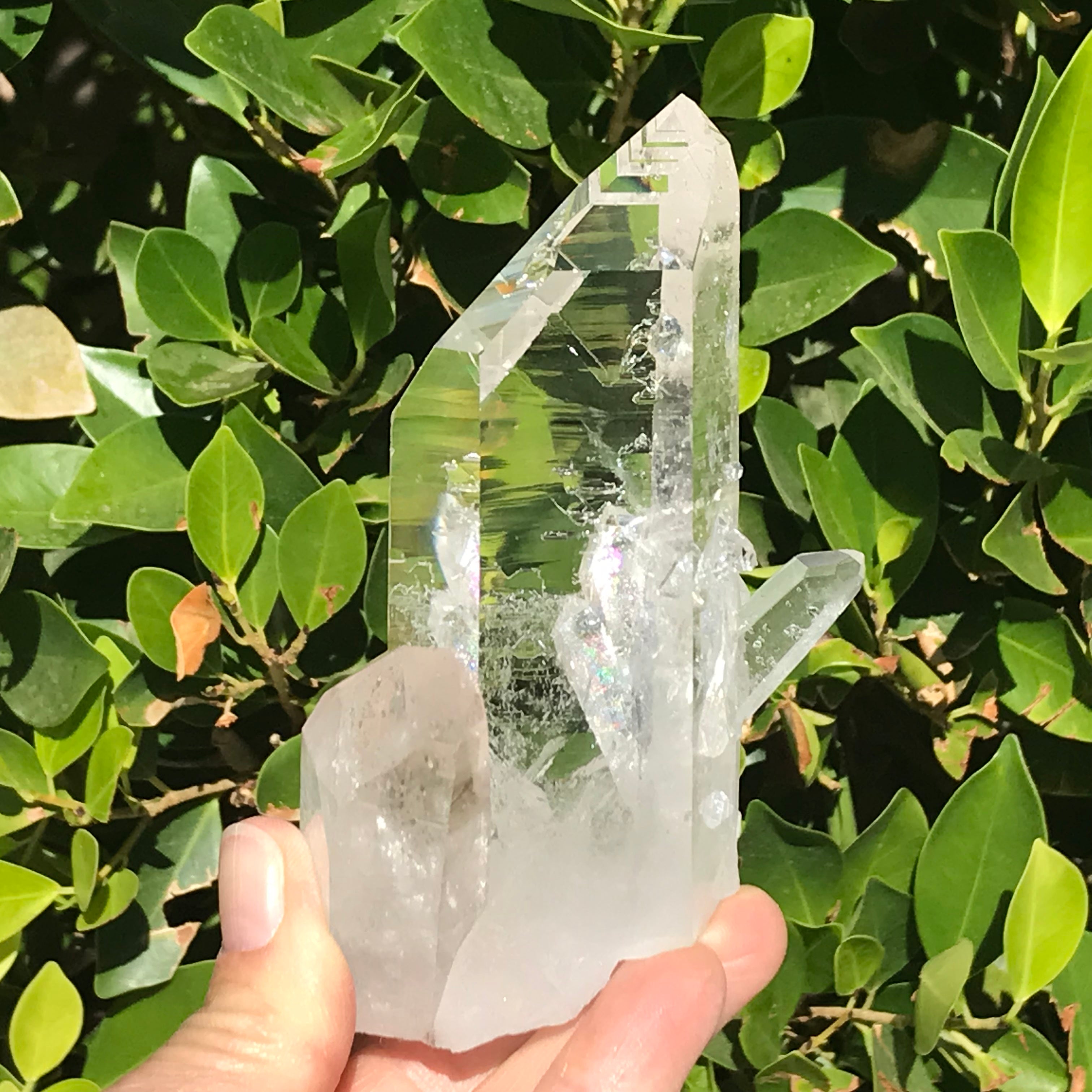 Crystal Growth on Lemurian Crystal Cluster