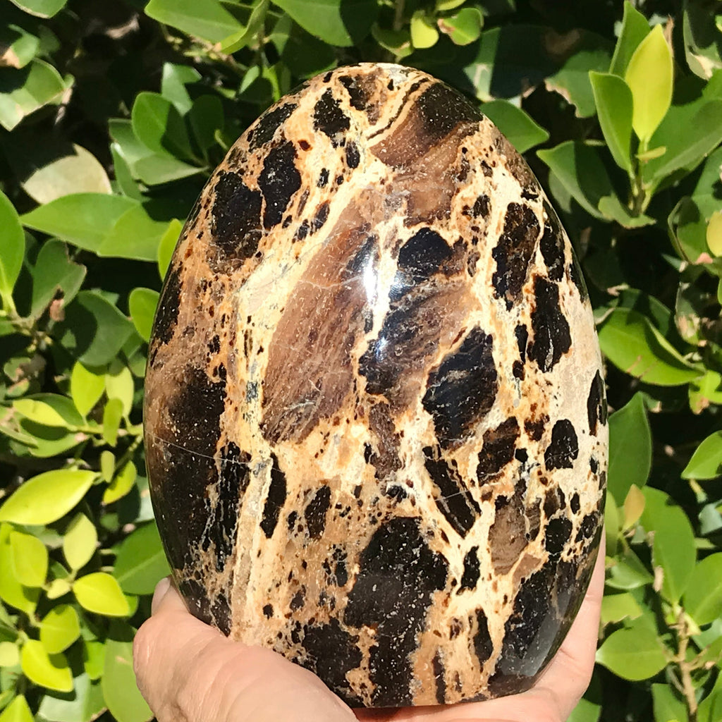Black Opal Freeform