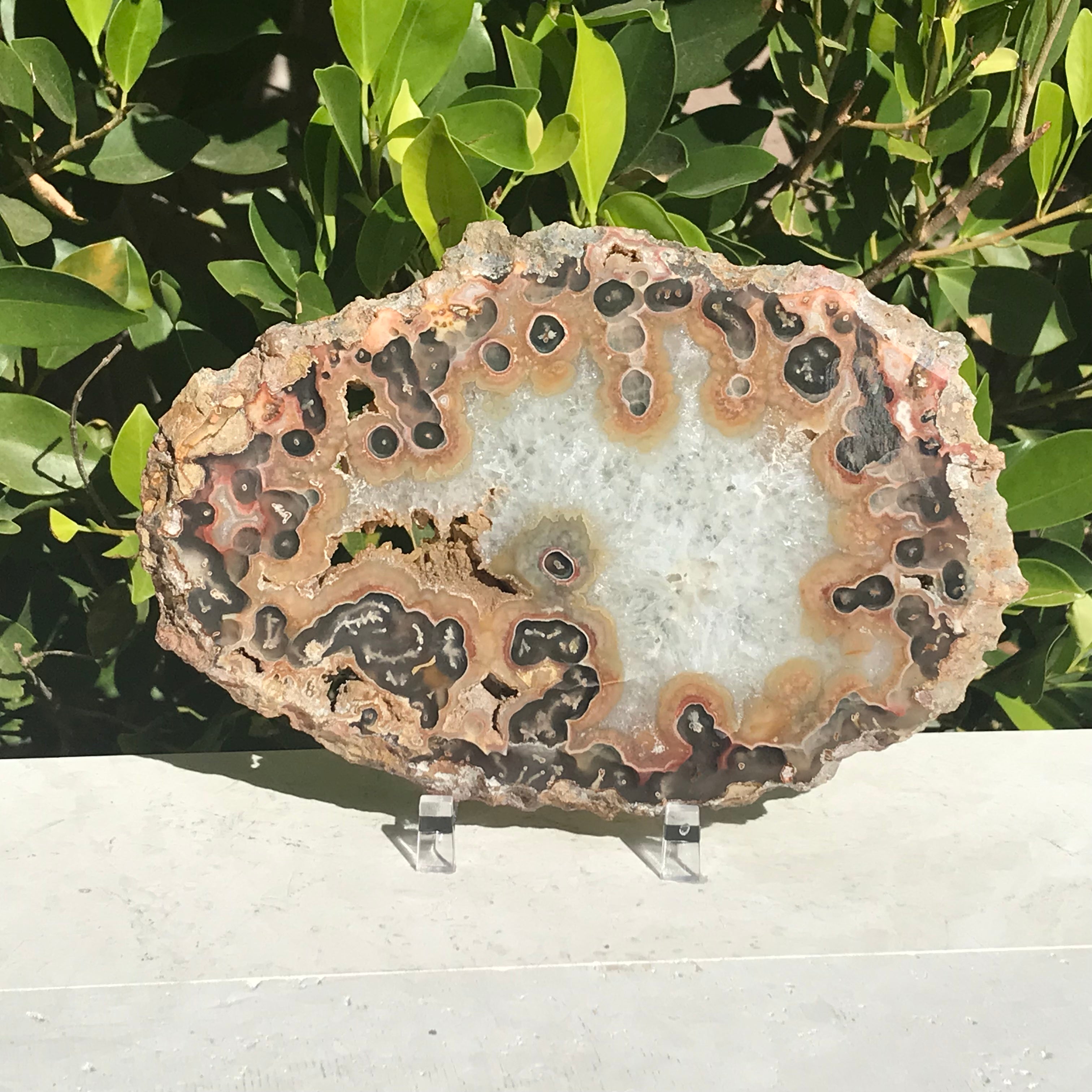 Red and Tan Banded Eyes Agate Slice