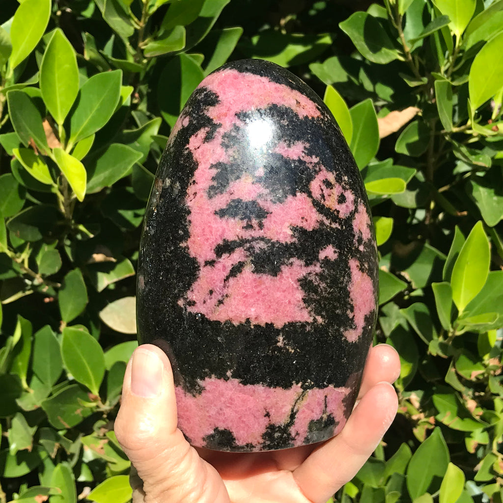 Ornate Rhodonite Nodule